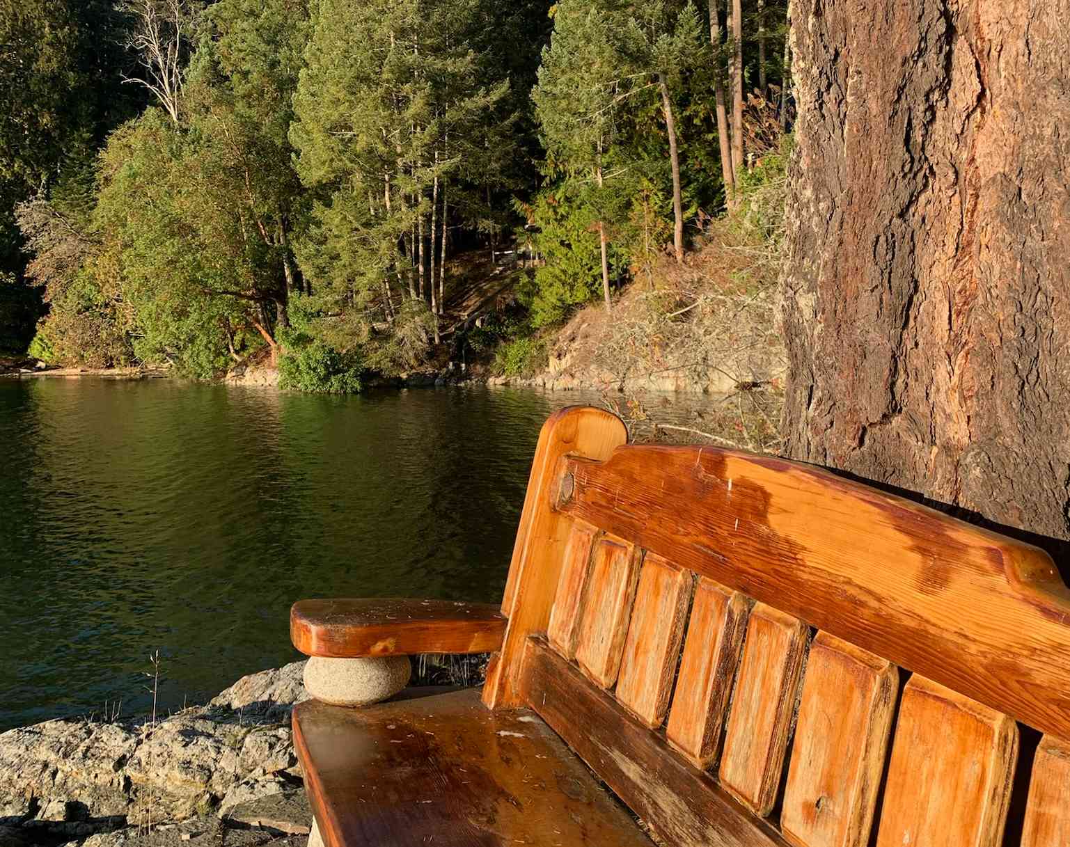 salt spring paysage des iles